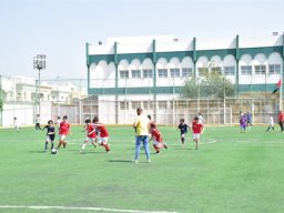 MIS Sports